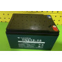 Акумулятор тяговый AGM Tianneng TNE12-15 12V15Ah