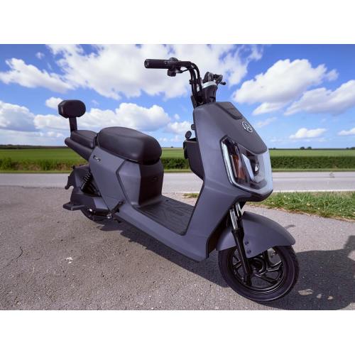 Електровелосипед Oscar Amir 800W/48V/20Ah LFP (LiFePO4) Графит