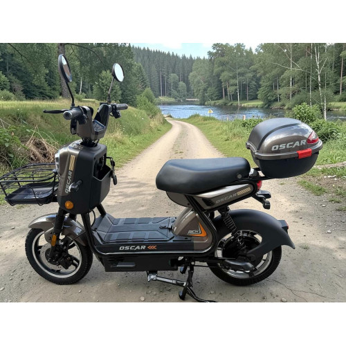 Електровелосипед Oscar Rich 1000w/60W/25Ah Графит