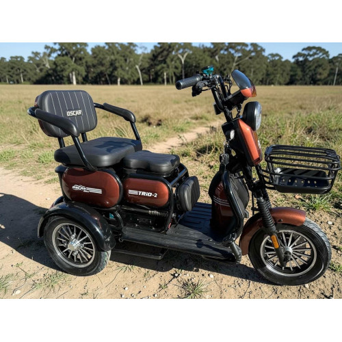 Електричний трицикл OSCAR TRIO-2 72V/25AH Графен/1200W (Коричневий)