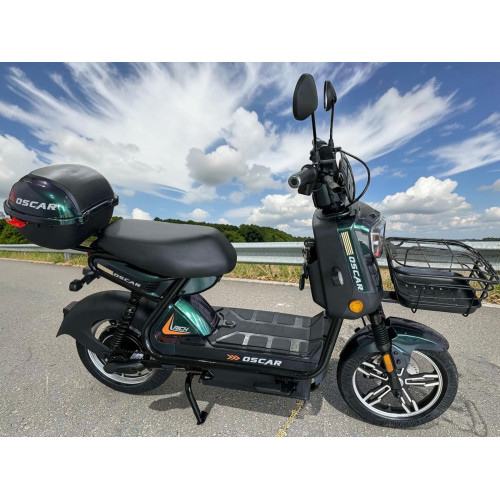 Електровелосипед Oscar Rich 1000w/60W/25Ah Зелений